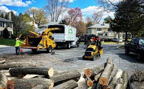 Best Lawn Maintenance Plans  in Madison, NC